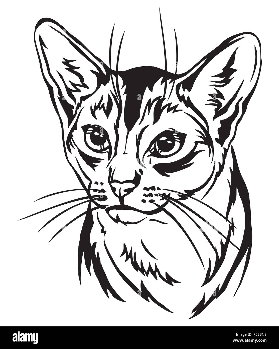 Ritratto decorativo in profilo di gatto abissino, vettore isolato illustrazione in colore nero su sfondo bianco Illustrazione Vettoriale
