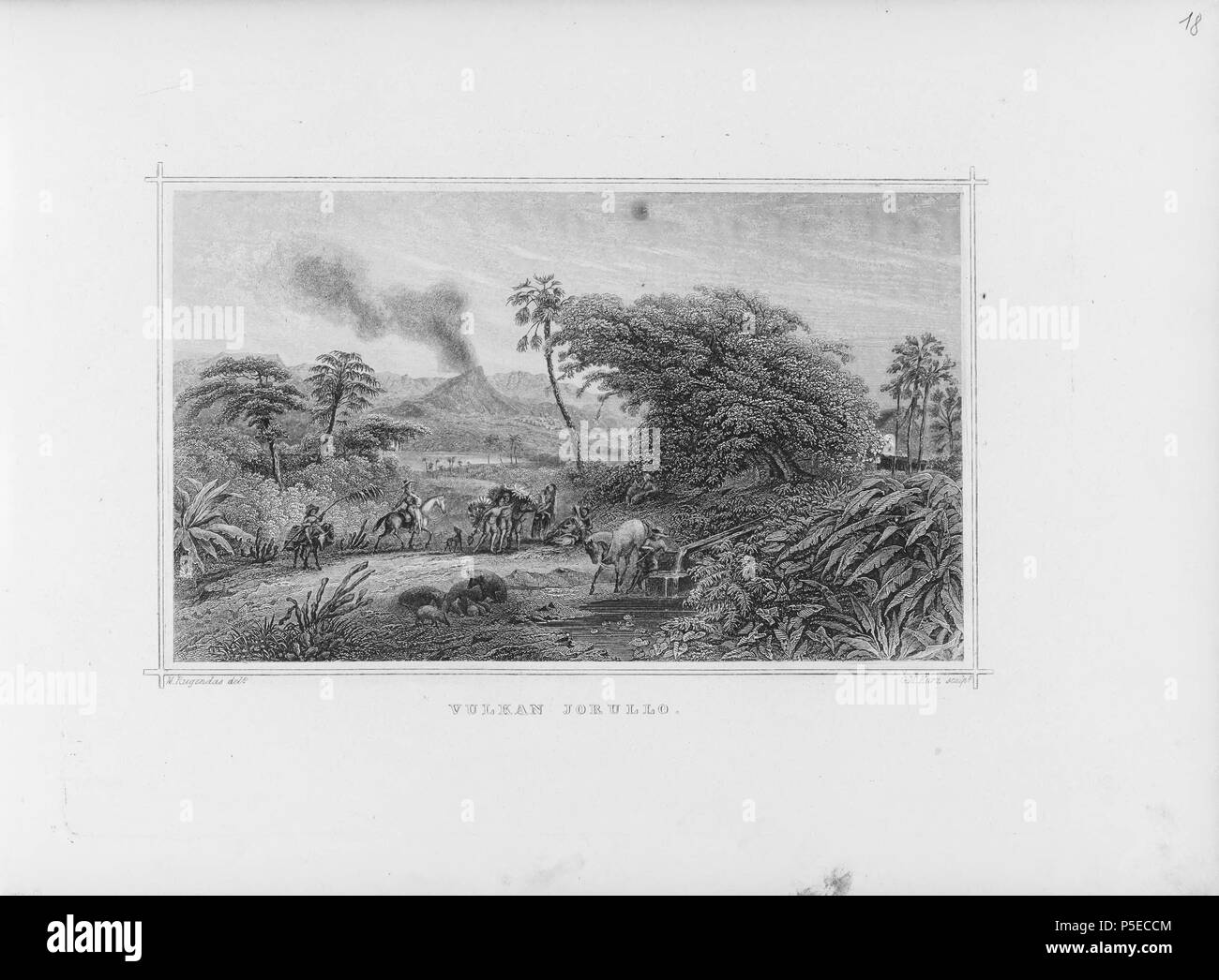 315 CH-NB-Album : Mit schweizerischen und ausländischen Ansichten--nbdig-18629-page037 Foto Stock