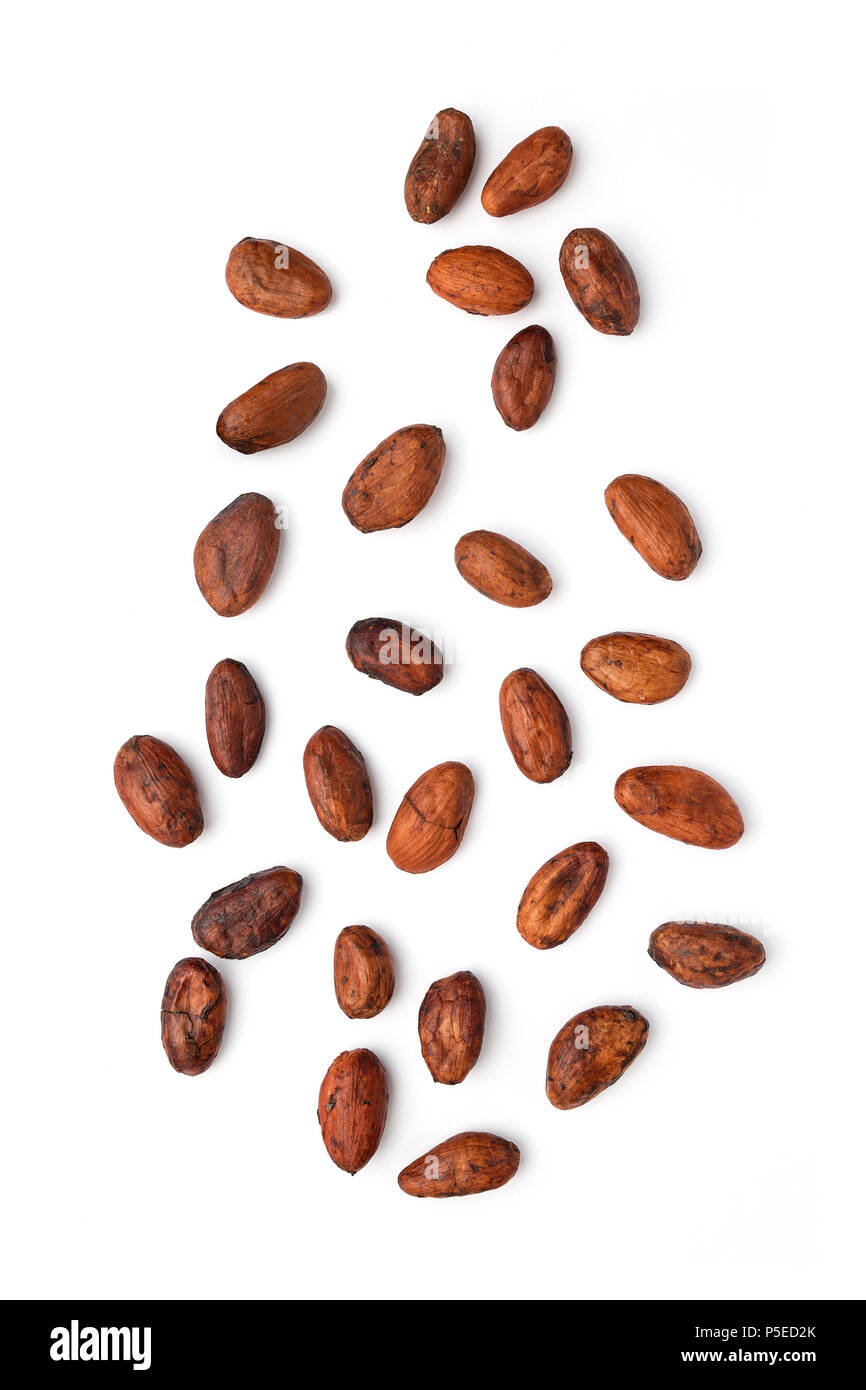 Le fave di cacao (Theobroma cacao) fotografato in studio su uno sfondo bianco. Foto Stock