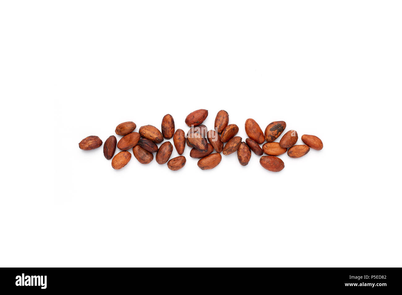 Le fave di cacao (Theobroma cacao) fotografato in studio su uno sfondo bianco. Foto Stock