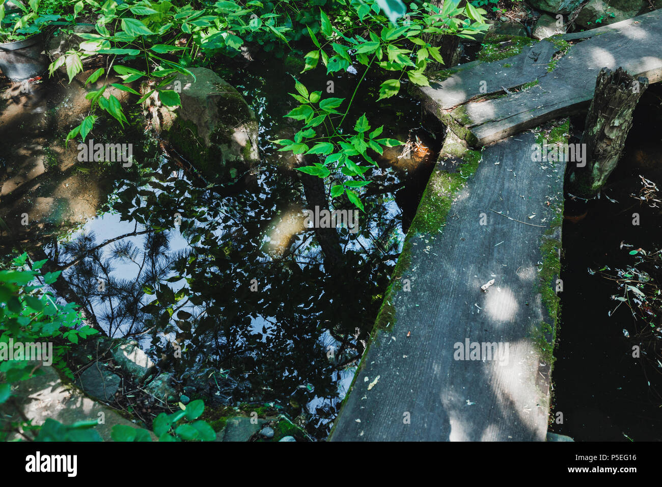 Piccolo ponte in legno sul torrente nel giardino giapponese Foto Stock