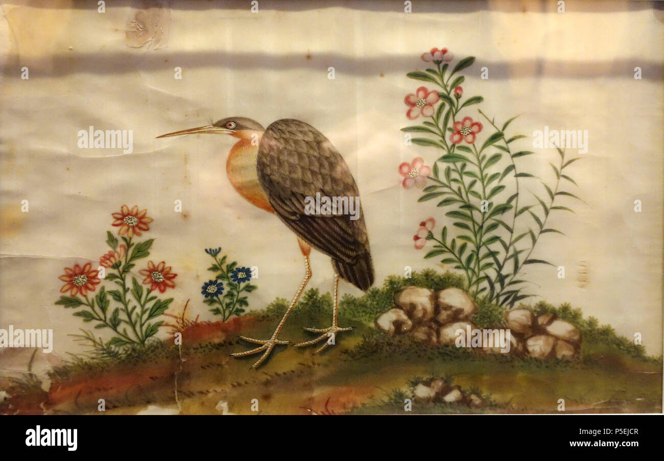 N/A. Inglese: mostra a Robert C. Williams Museo della Carta, Atlanta, Georgia, Stati Uniti d'America. Questo lavoro è abbastanza vecchio in modo che sia in . La fotografia è stata ammessa nel museo senza restrizione. Il 20 marzo 2014, 13:12:38. Daderot 205 uccelli e fiori, Cina, Tetrapanax papyrifer carta - Robert C. Williams museo della carta - DSC00391 Foto Stock