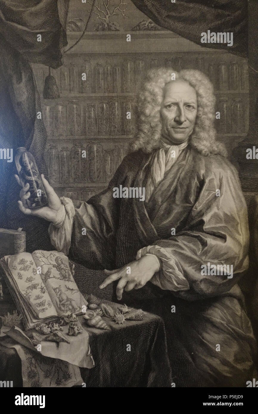 N/A. Inglese: mostra a Robert C. Williams Museo della Carta, Atlanta, Georgia, Stati Uniti d'America. Questo lavoro è abbastanza vecchio in modo che sia in . La fotografia è stata ammessa nel museo senza restrizione. Il 20 marzo 2014, 13:31:28. Daderot 74 Albert Seba, 1665-1736 - Robert C. Williams museo della carta - DSC00529 Foto Stock