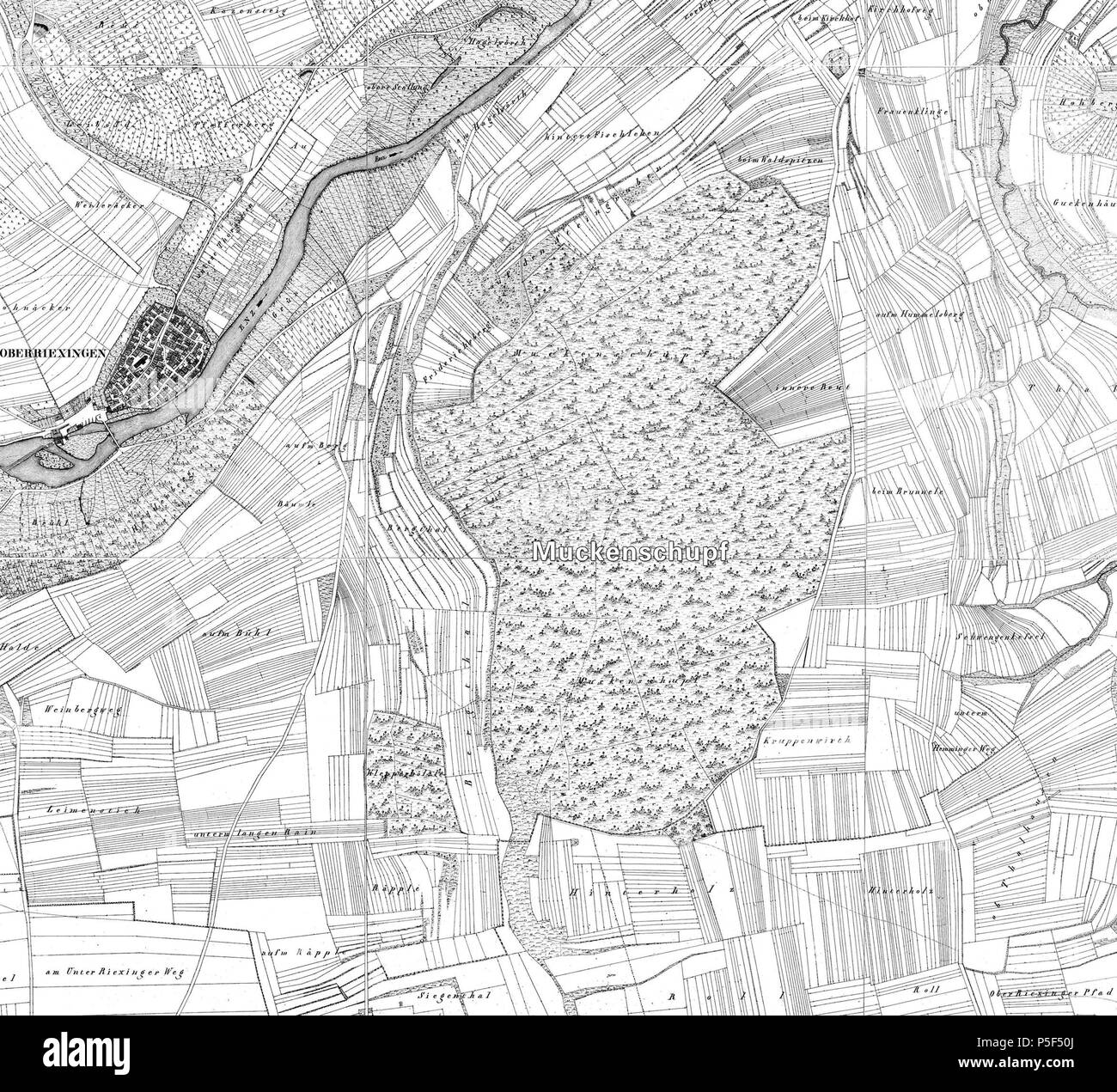 N/A. Deutsch: Muckenschupf (zu Unterriexingen) auf der württembergischen Urflurkarte (1:2.500). Composit von Planquadrat NW XXXIX 1 (NW 39 01) und Planquadrat NW XL 1 (NW 40 01) mit Umgebungsblättern inglese: Muckenschupf su 'Württ. Urflurkarte' (1:2500). Composit di Planquadrat NW XXXIX 1 (NW 39 01) e Planquadrat NW XL 1 (NW 40 01) con gli altri . 1832. Statistisch-Topographisches Bureau des Königreichs Württemberg 28 1832 Muckenschupf UFK-Composit StA LB 150W Foto Stock
