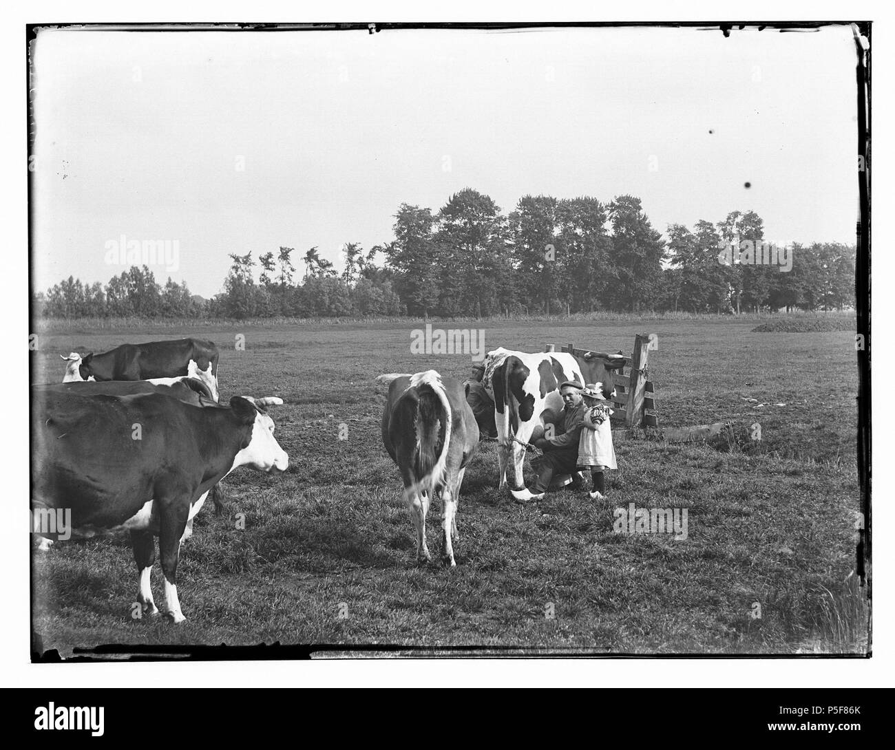 N/A. Nederlands: Beschrijving Abcoude Weide incontrato koeien en melkende boer incontrato klein meisje aan zijn zijde. Documenttype foto Vervaardiger Olie, Jacob (1834-1905) Collectie Collectie Giacobbe Olie Jbz. Datering 18 juni 1901 Inventarissen http://stadsarchief.amsterdam.nl/archief/10019 Afbeeldingsbestand 010019001352 generato con Dememorixer . Il 18 giugno 1901. Giacobbe Olie (1834-1905) nomi alternativi Giacobbe Olie Jbz. Giacobbe Olie Jbzn. Descrizione fotografo olandese Data di nascita e morte 19 Ottobre 1834 25 aprile 1905 Luogo di nascita e morte Amsterdam Amsterdam periodo di lavoro lavoro 1847-1905 lo Foto Stock