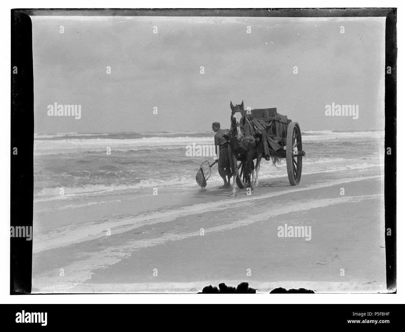 N/A. Nederlands: Beschrijving Egmond aan Zee Schelpenvisser op het strand. Documenttype foto Vervaardiger Olie'', Jacob (1834-1905) Collectie Collectie Giacobbe Olie Jbz. Datering Augusto 1904 Inventarissen http://stadsarchief.amsterdam.nl/archief/10019 Afbeeldingsbestand 010019001619 generato con Dememorixer . Agosto 1904. Giacobbe Olie (1834-1905) nomi alternativi Giacobbe Olie Jbz. Giacobbe Olie Jbzn. Descrizione fotografo olandese Data di nascita e morte 19 Ottobre 1834 25 aprile 1905 Luogo di nascita e morte Amsterdam Amsterdam periodo di lavoro lavoro 1847-1905 posizione Amsterdam (1847-1905) Foto Stock