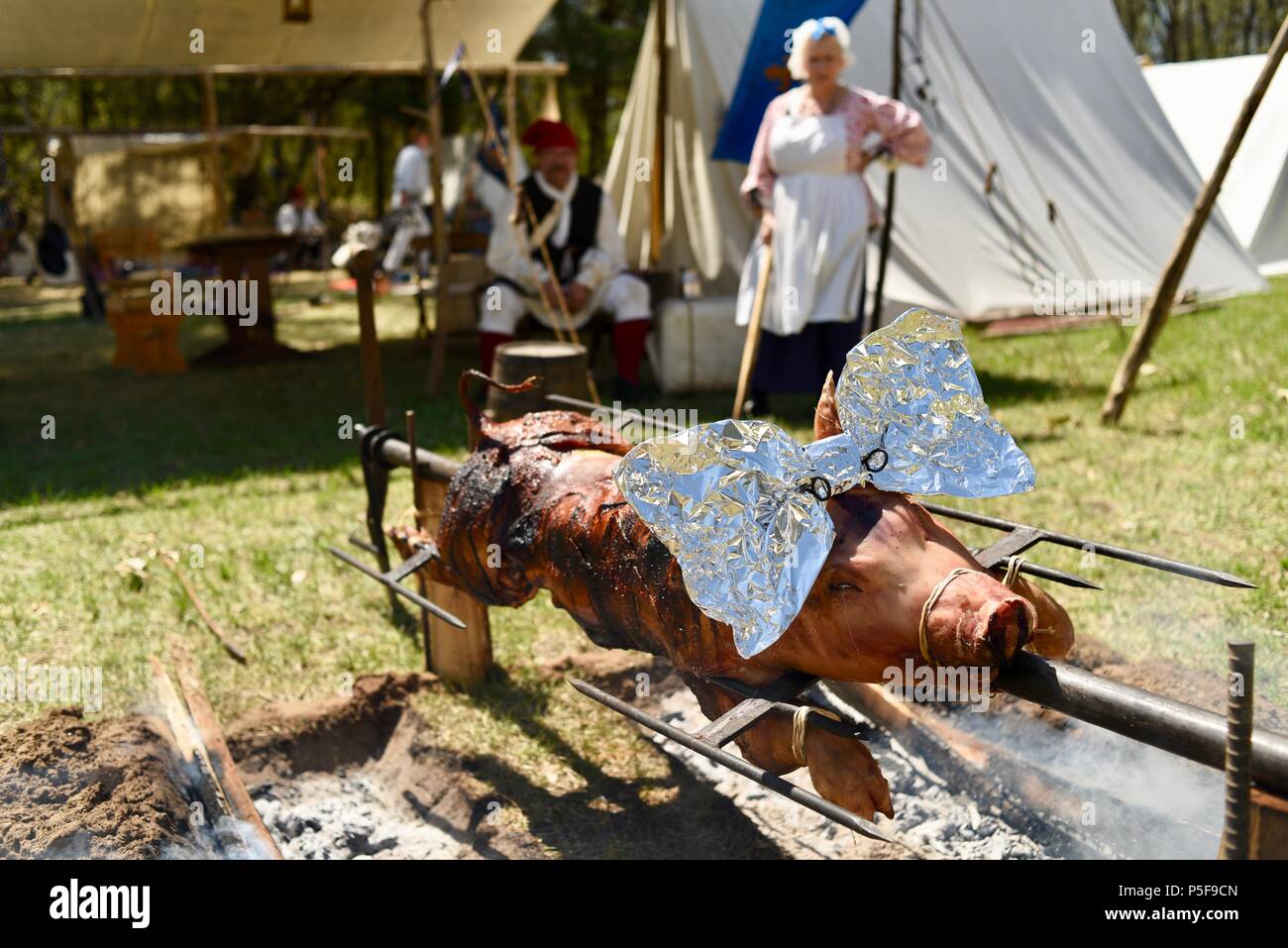 Costume di re-enactors al di fuori della tenda, lento un arrosto di maiale interi all'aperto oltre a un falò presso il lago di sanguinose Rendezvous, Woodford, WI, Stati Uniti d'America Foto Stock
