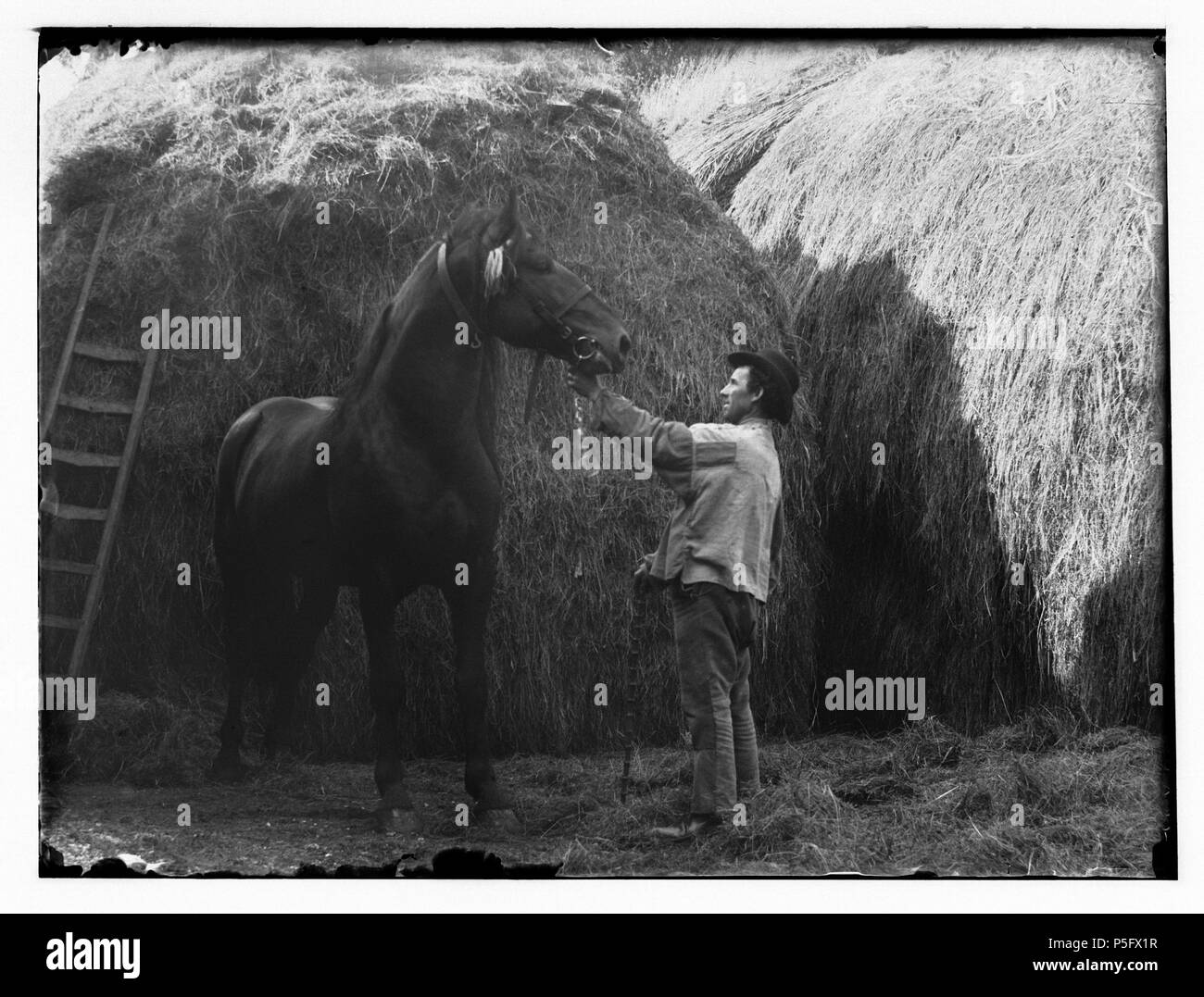 N/A. Nederlands: Beschrijving Abcoude Hengst van heer Van Ginderen. Documenttype foto Vervaardiger Olie, Jacob (1834-1905) Collectie Collectie Giacobbe Olie Jbz. Datering 20 juli 1898 Inventarissen http://stadsarchief.amsterdam.nl/archief/10019 Afbeeldingsbestand 010019001182 generato con Dememorixer . Il 20 luglio 1898. Giacobbe Olie (1834-1905) nomi alternativi Giacobbe Olie Jbz. Giacobbe Olie Jbzn. Descrizione fotografo olandese Data di nascita e morte 19 Ottobre 1834 25 aprile 1905 Luogo di nascita e morte Amsterdam Amsterdam periodo di lavoro lavoro 1847-1905 posizione Amsterdam (1847-1905), Abcoude Foto Stock