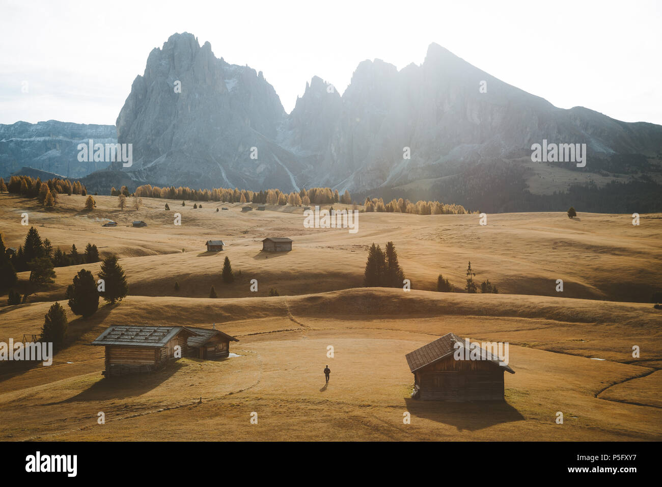 Escursionista presso l'Alpe di Siusi con il famoso Sassolungo picchi di montagna in background in golden. La luce del mattino al sorgere del sole, Dolomiti, Alto Adige, Italia Foto Stock