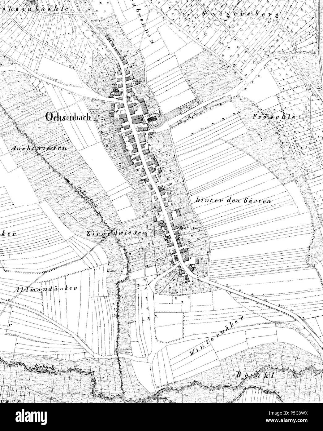 N/A. Deutsch: Urflurkarte von Ochsenbach (Sachsenheim) 1832 . 1832. Statistisch-topographisches Bureau des Königreichs Württemberg 28 1832 Ochsenbach UFK-Composit LGL LeoBW Foto Stock