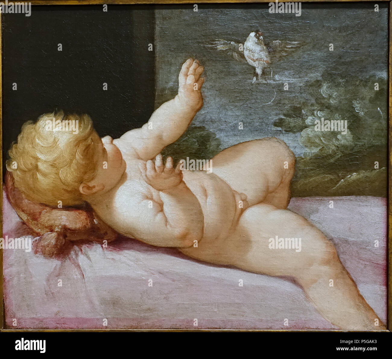 N/A. Inglese: esporre in Il Blanton Museum of Art - Austin, Texas, Stati Uniti d'America. Questo lavoro è abbastanza vecchio in modo che sia in . Il 15 novembre 2015, 16:00:37. Daderot 343 Cristo bambino che gioca con un Finch, di Guido Reni, Bologna, c. 1634-1645, olio su tela - Blanton Museum of Art - Austin, Texas - DSC07891 Foto Stock