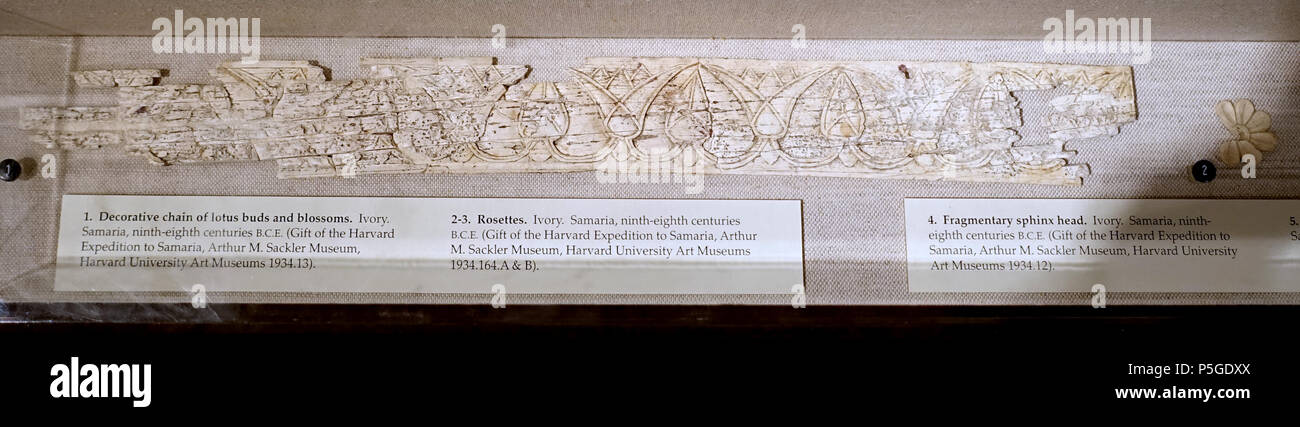 N/A. Inglese: mostra a Harvard Museo semitica, Harvard University - Cambridge, Massachusetts, STATI UNITI D'AMERICA. Questo lavoro è abbastanza vecchio in modo che sia in . 3 aprile 2016, 13:42:05. Daderot 431 catena decorativa di boccioli di loto e fiori, in Samaria, 9th-8secolo BC, avorio - Harvard semita Museum - Cambridge - DSC06034 Foto Stock