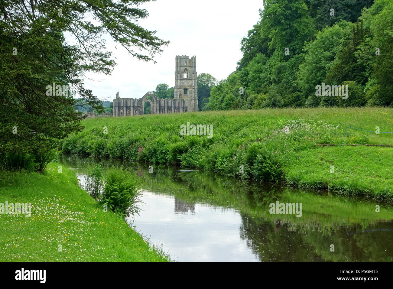 N/A. Inglese: veduta distante - Fountains Abbey - North Yorkshire, Inghilterra. 14 giugno 2016, 10:39:06. Daderot 458 veduta distante - Fountains Abbey - North Yorkshire, Inghilterra - DSC00970 Foto Stock