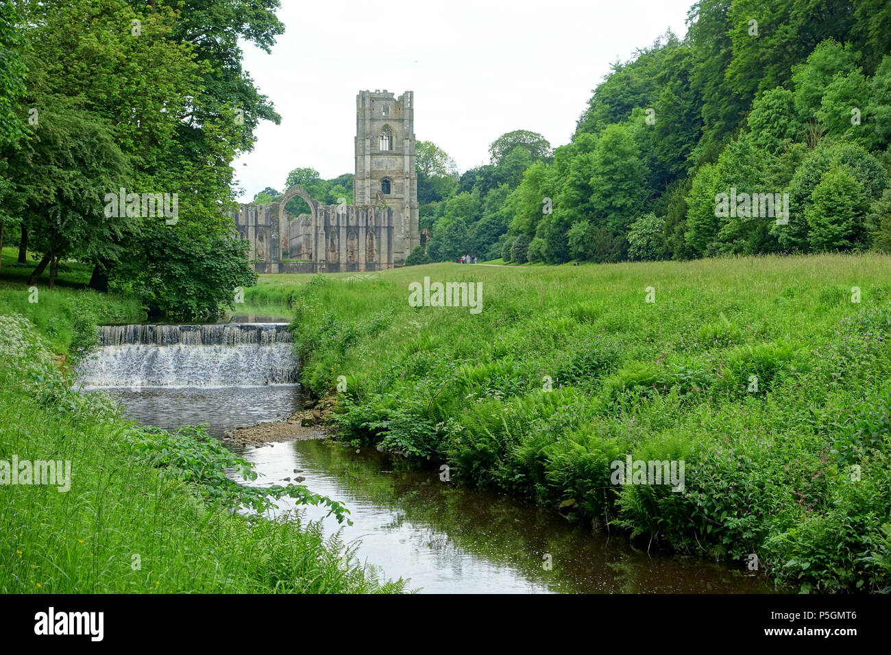 N/A. Inglese: veduta distante - Fountains Abbey - North Yorkshire, Inghilterra. 14 giugno 2016, 10:42:00. Daderot 458 veduta distante - Fountains Abbey - North Yorkshire, Inghilterra - DSC00978 Foto Stock