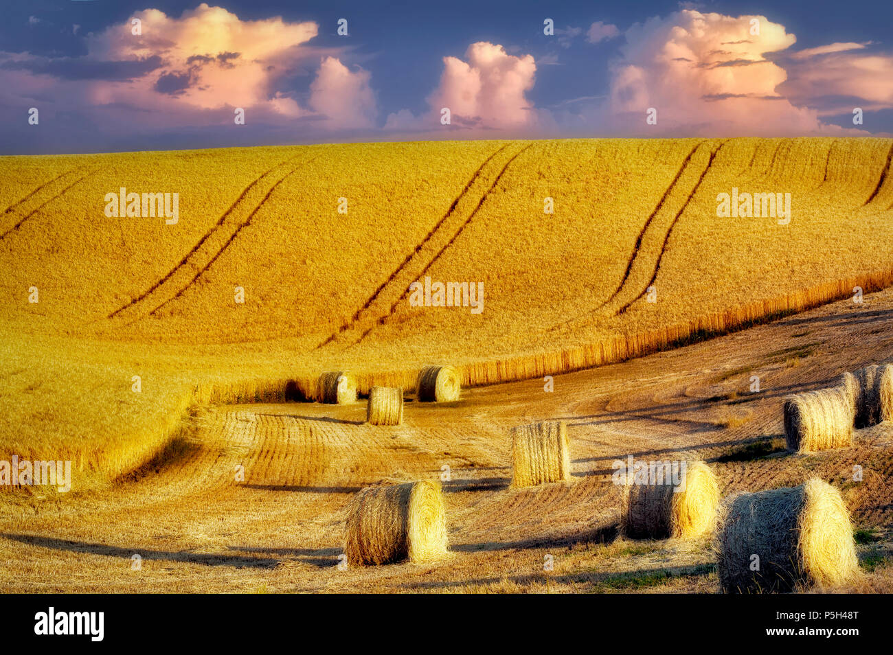 Balle di paglia di grano. Il Palouse. Washington Foto Stock