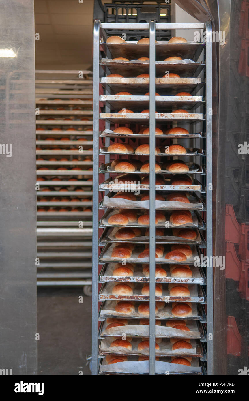 Pane appena sfornato rotoli su un baker ripiano del carrello in una panetteria. Foto Stock