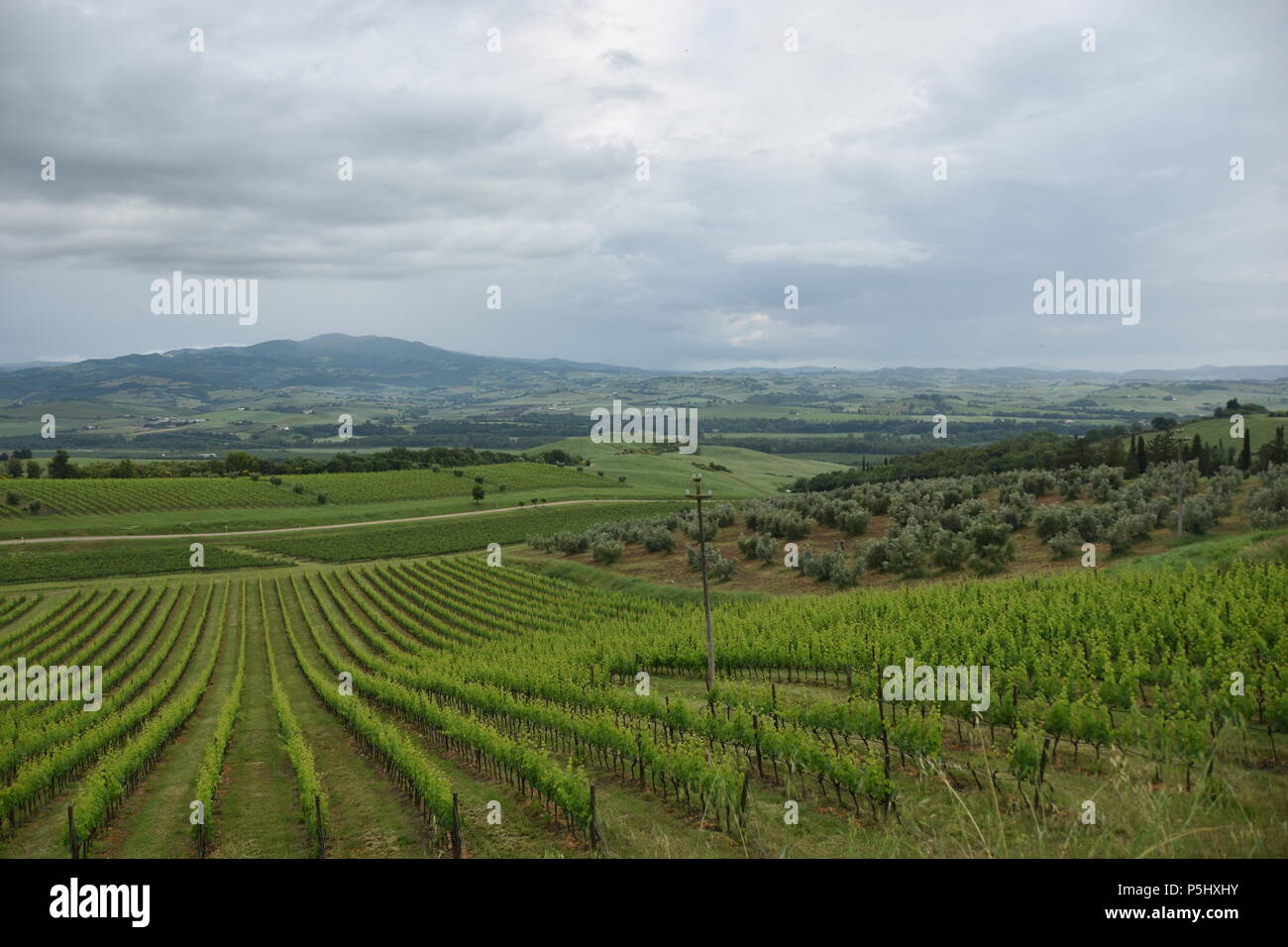 Castello Banfi, Siena, Italia Foto Stock