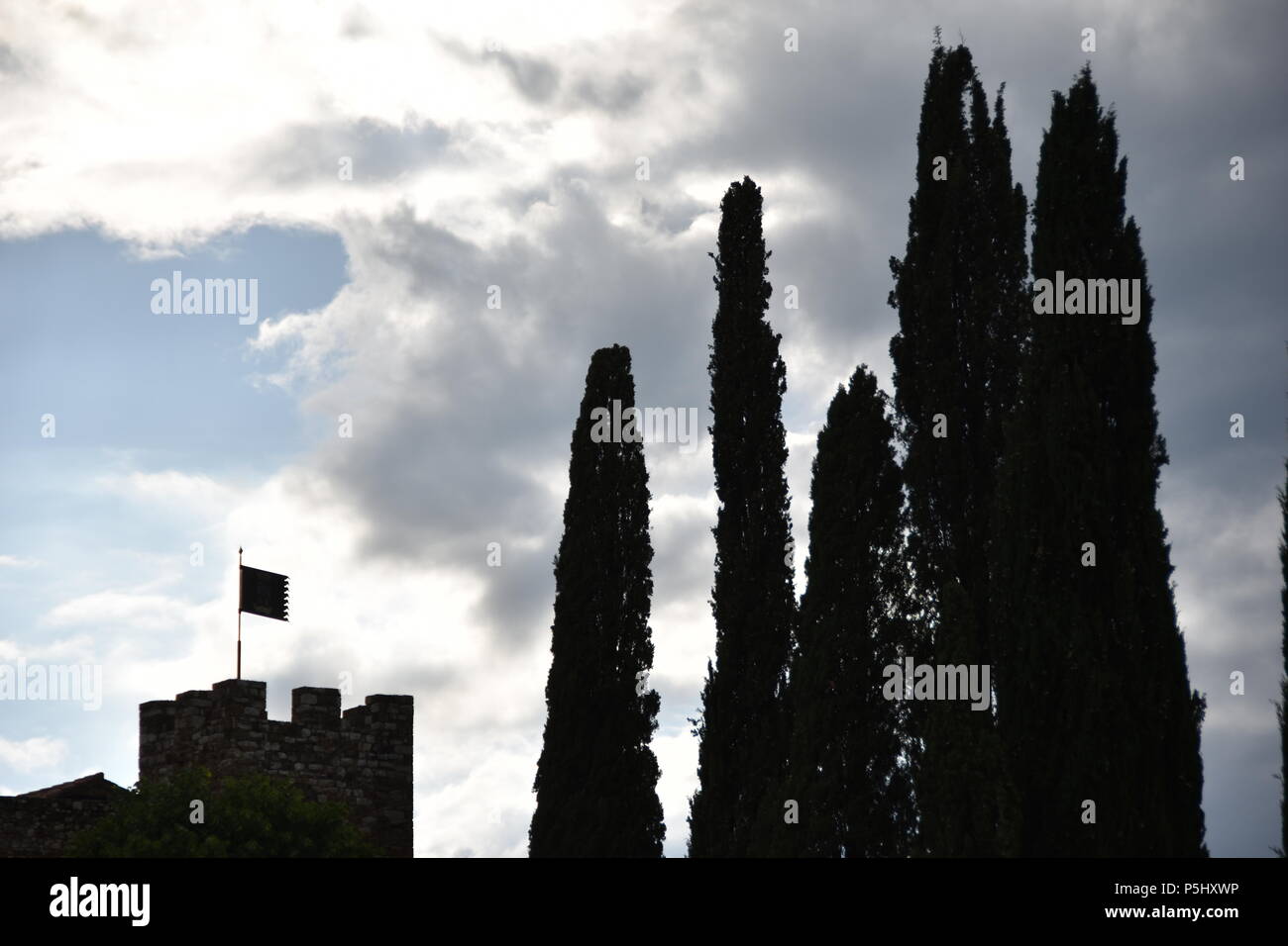 Castello Banfi, Siena, Italia Foto Stock