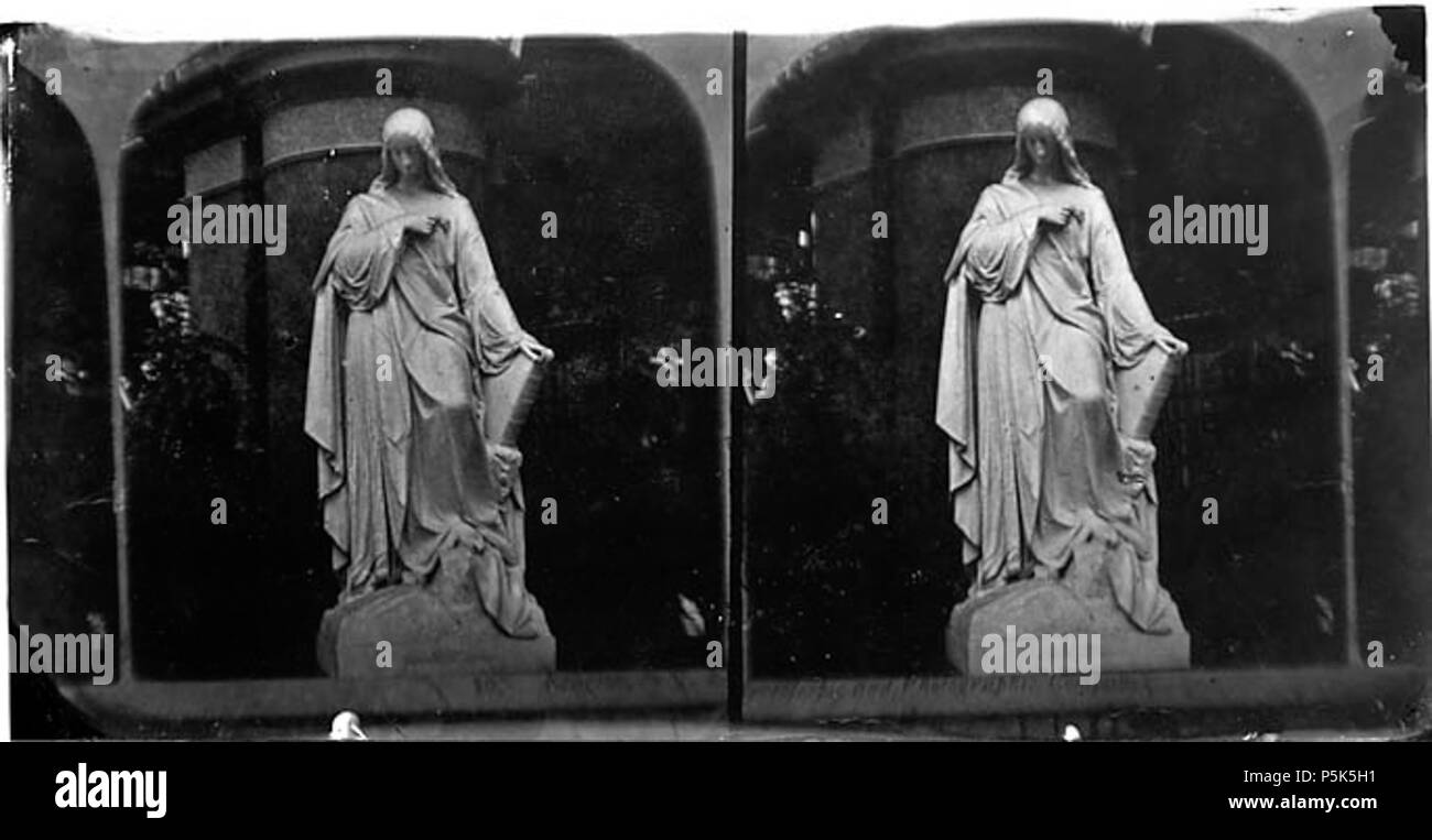 [Una statua (stereografia)] [GRAPHIC].. 1 negativa (stereografia) : vetro, wet collodio, b&W ; 8,5 x 17 cm. circa 1875. Thomas, Giovanni, 46 una statua (stereografia) NLW3364001 Foto Stock