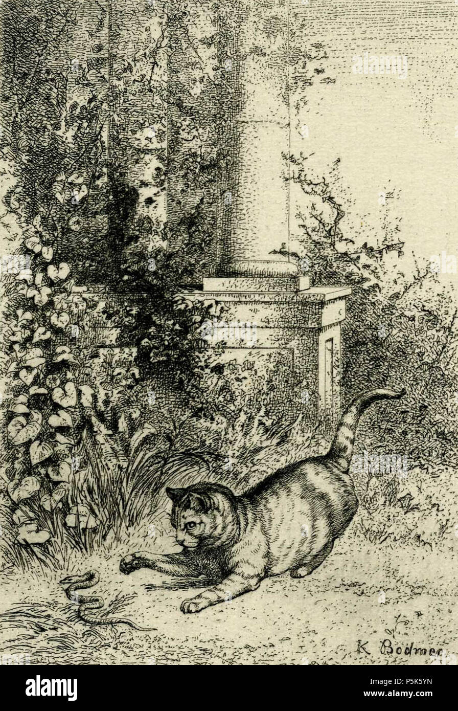 N/A. Inglese: Cat giocando con un sommatore. Attacco da Karl Bodmer circa 1873. Deutsch: Das Spiel der Katze mit der Schlange. Radierung von Karl Bodmer um 1873. Français : Chat jouant avec onu couleuvre. . Circa 1873. N/A 282 Cat giocando con un sommatore di Karl Bodmer circa 1873 Foto Stock