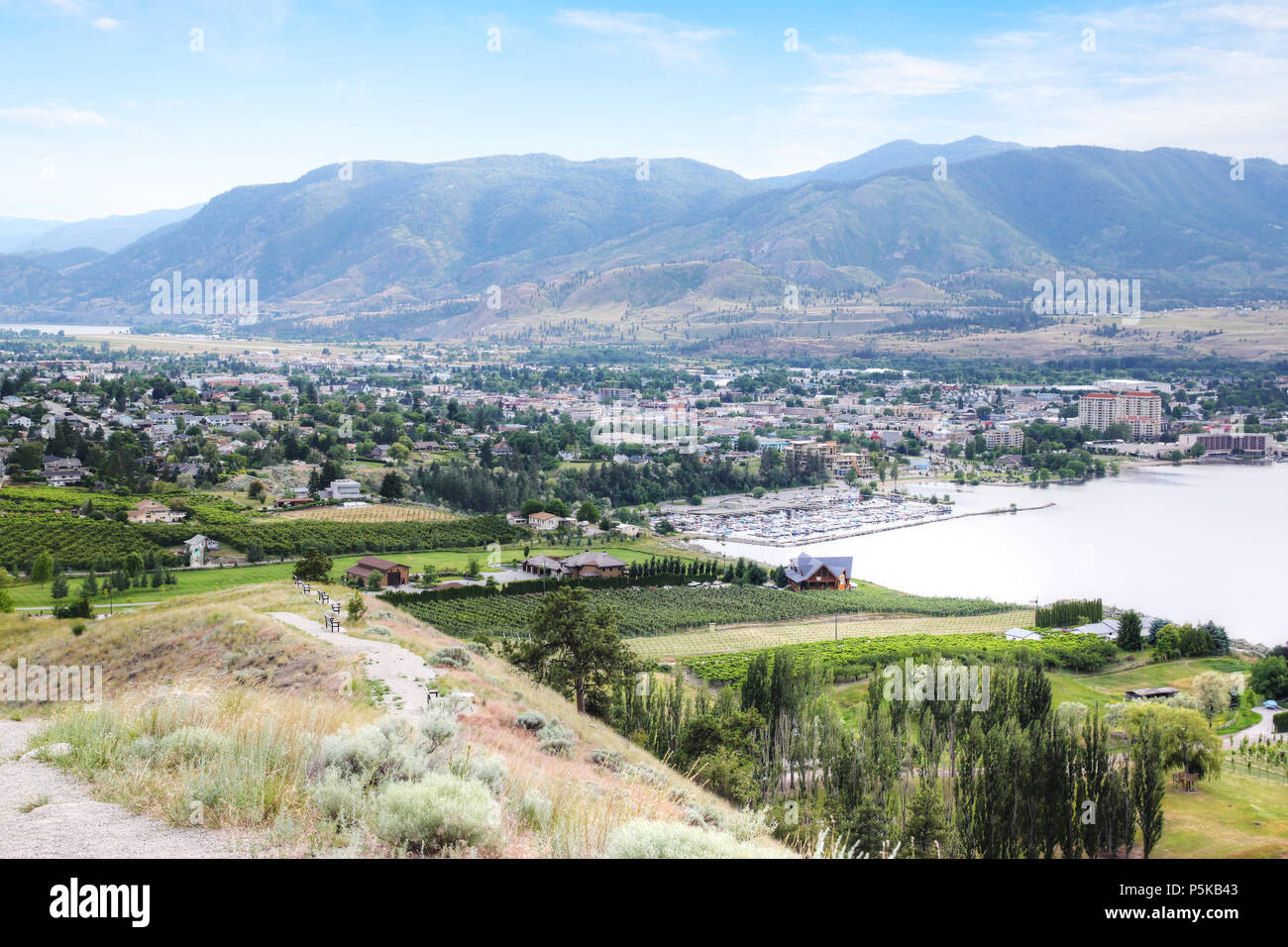 Vista aerea di numerose Kelowna vigneti che circondano il Lago Okanagan con le montagne sullo sfondo. Kelowna è rinomato per le sue cantine e winemak Foto Stock