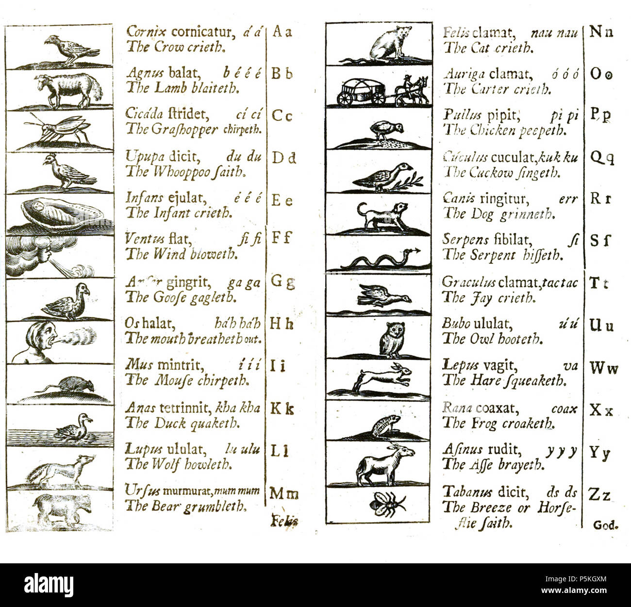 N/A. Diagramma di alfabeti, 1705 . 1705. Comenius, Johann Amos, 1592-1670 87 Alfabeto 1705 Foto Stock