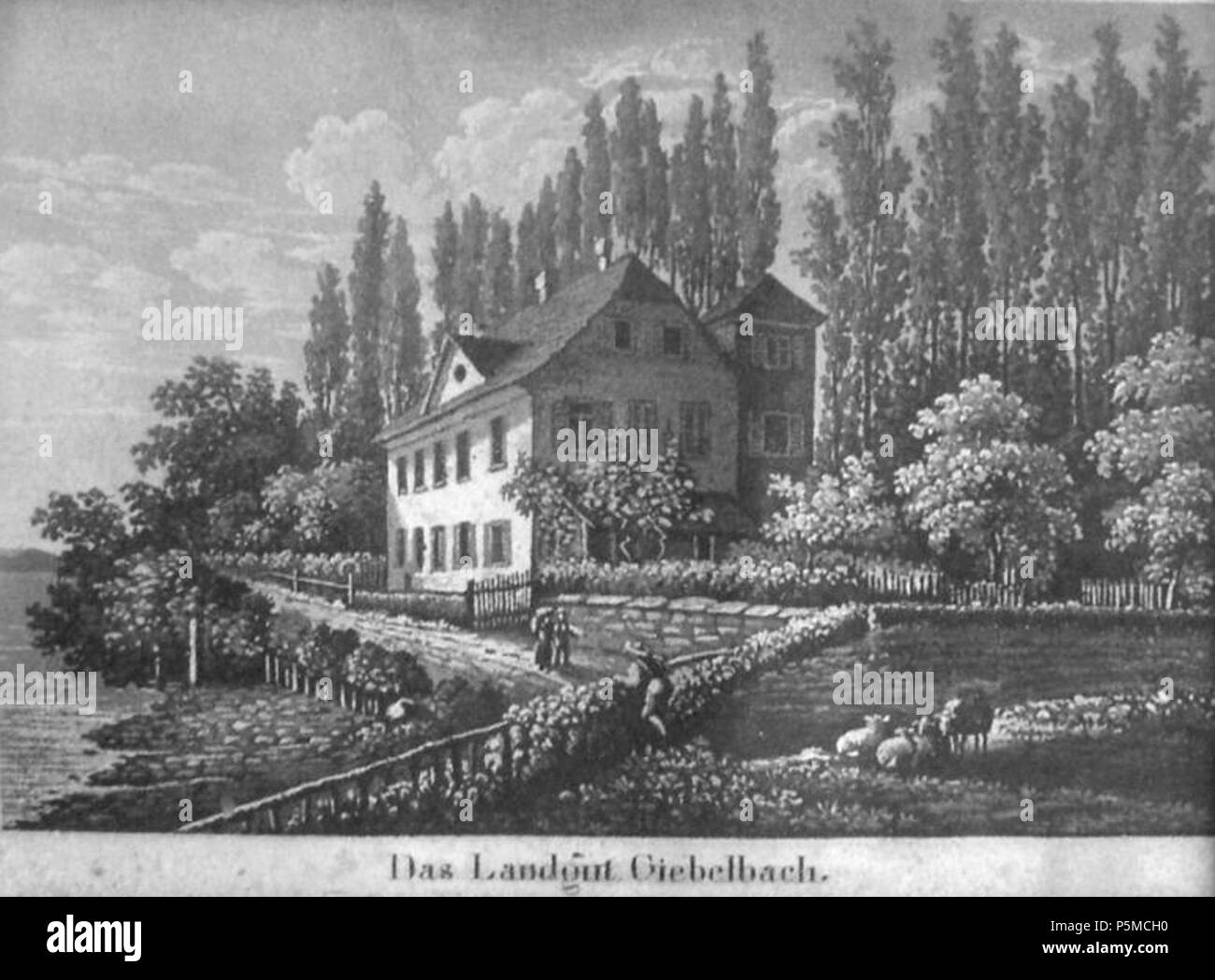 N/A. Deutsch: Lindau, 'Dcome Landgut Giebelbach'. Randbild aus 'Ansicht der Stadt Lindau, deren inneren Theile und Umgebungen', Aquatintaradierung bei J. B. Isenring, San Gallo um 1840, ca. 8 x 10,7 cm . circa 1840. Johann Baptist Isenring (1796-1860) nomi alternativi Johann Baptiste Descrizione Isenring pittore svizzero, litografo e fotografo, Data di nascita e morte 12 Maggio 1796 9 aprile 1860 Luogo di nascita e morte Lütisburg San Gallo periodo di lavoro 1820-1860 sede di lavoro San Gallo; Stoccarda; Tübingen competente controllo : Q118407 VIAF:18020240 ISNI:0000 0001 2277 0872 ULAN:50001 Foto Stock