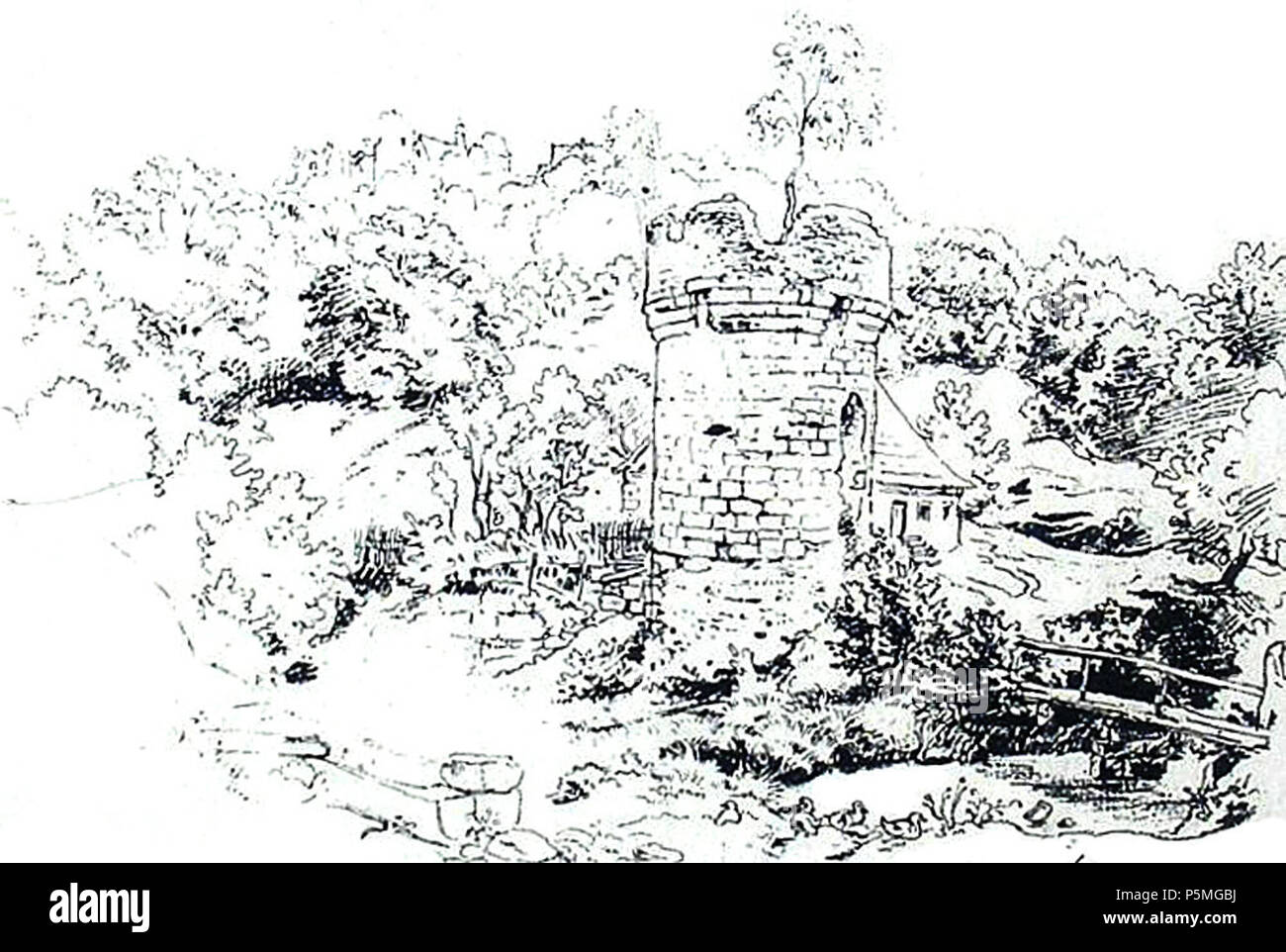 Fotocamere digitali Olympus 489 Dürrnhof Richter2 Foto Stock