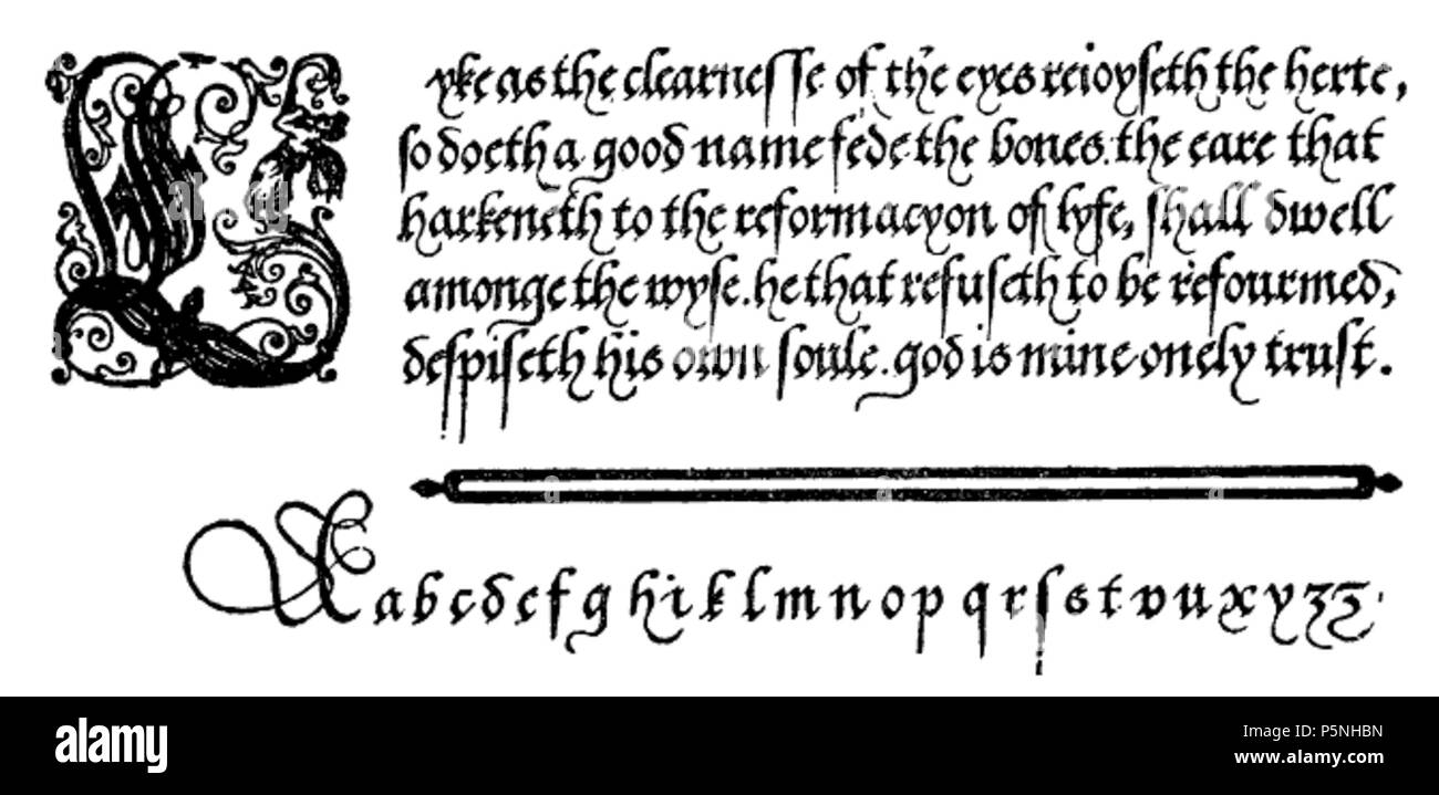 180 BeauchesneBatardeAngloise Foto Stock