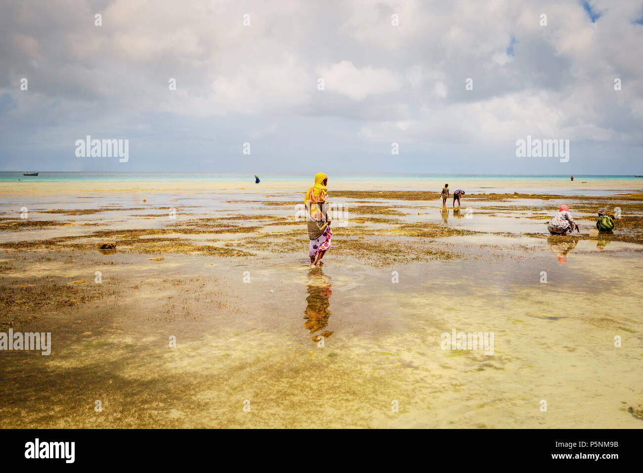 Splendido oceano paesaggio. La popolazione locale in tradizionali abiti africani di raccogliere i frutti di mare. Africa Tanzania Zanzibar Foto Stock