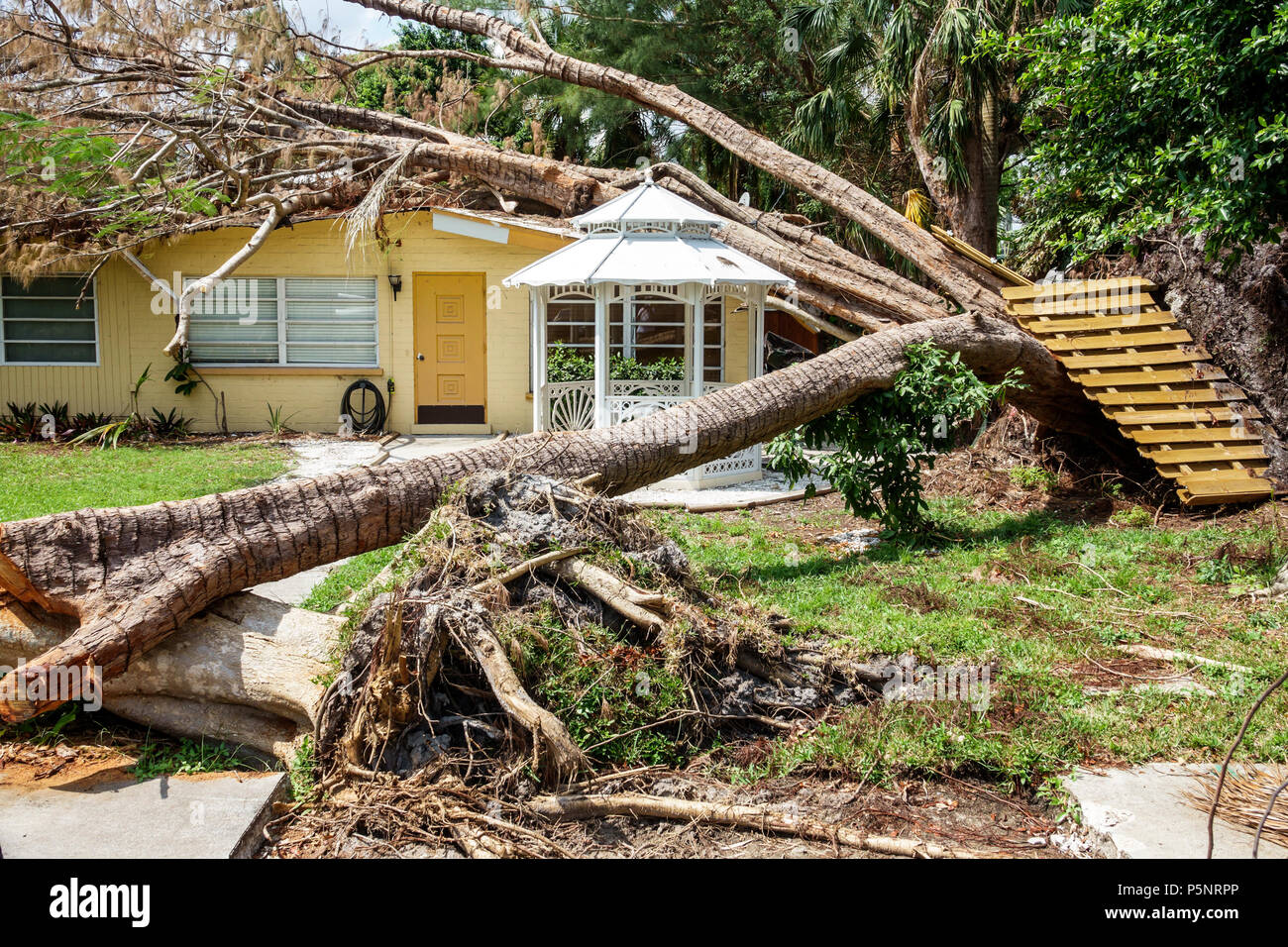 Fort ft. Myers Florida, casa case case casa case residenza, tempesta danni distruzione aftermath, alberi caduti Hurricane Irma, danneggiato tetto, albero Foto Stock