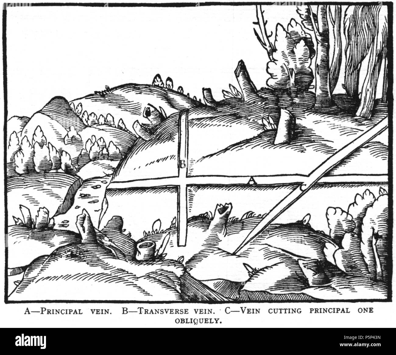 N/A. Xilografia illustrazione da De re metallica di Georgius Agricola. Questo è un 300dpi di scansione dal 1950 Dover edizione del 1913 Hoover traduzione del 1556 riferimento. Il dover edition ha dimensioni leggermente più ridotte di stampe di Hoover (che è un libro raro). Le xilografie sono stati ricreati per il 1913 la stampa. Nomi di file (tranne che per la pagina del titolo) indicano il capitolo (2, 3, 5, ecc.) seguita da il numero sequenziale della figura. 2 maggio 2005, 07:02:40. Il costo totale di proprietà (PARLA) 222 Prenota3-22 Foto Stock