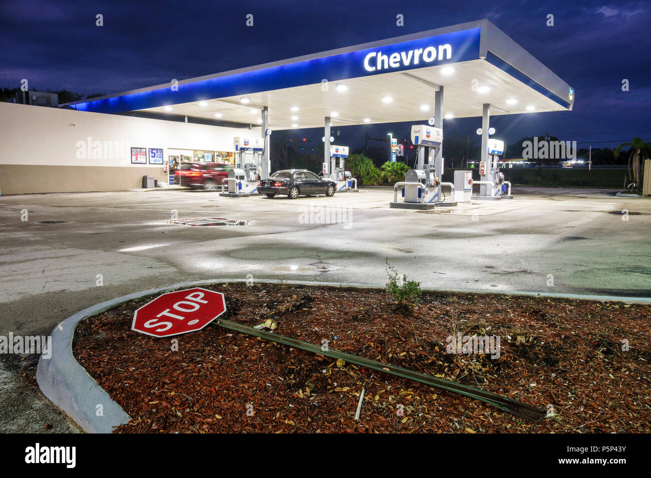 Stuart Florida,notte,Chevron,stazione di rifornimento benzina gas,pompe,tettoia,FL170925236 Foto Stock
