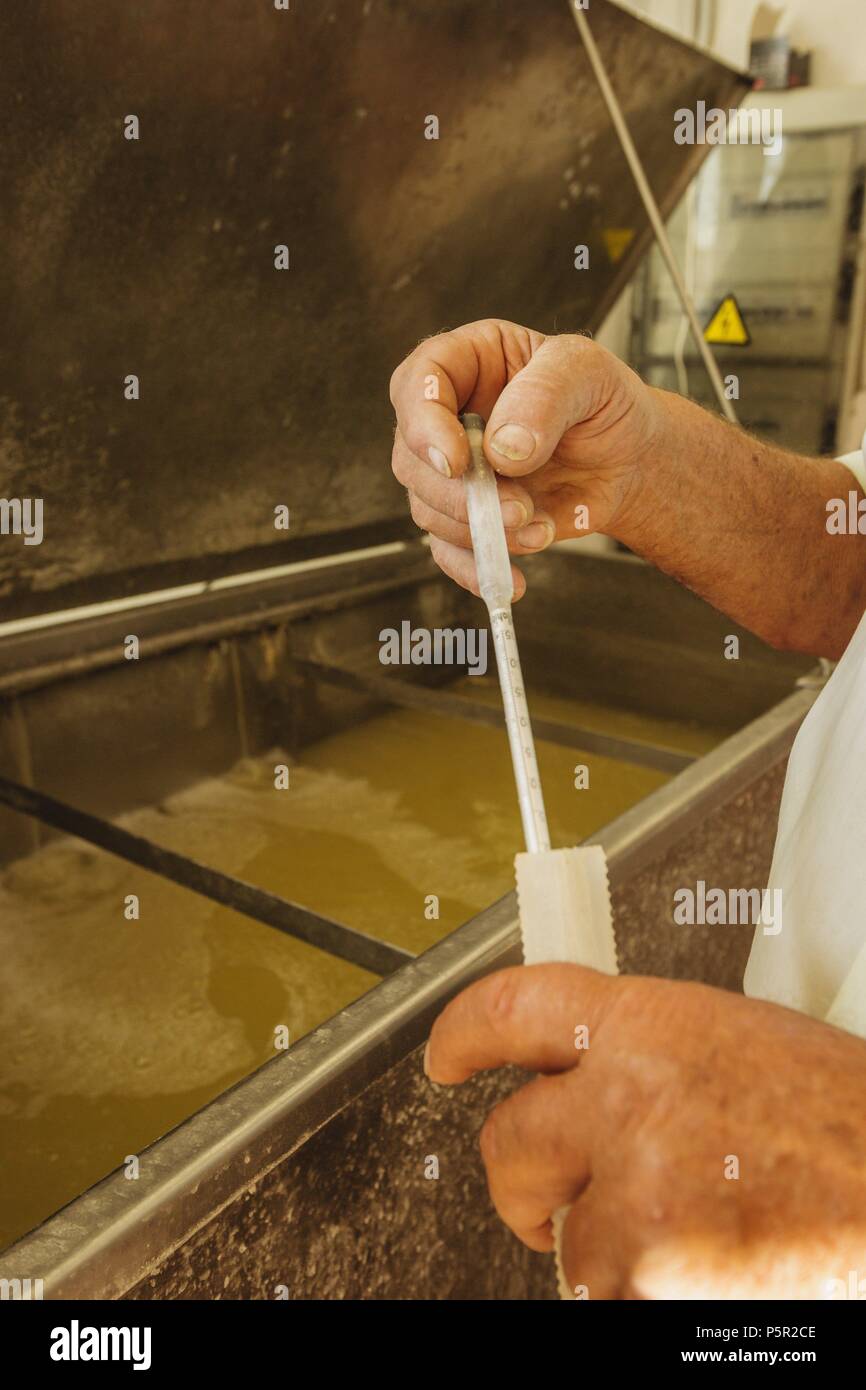 Comprobacion de salinidad, artesanall fabricacion de queso Binibeca de Jaume Pons - denominacion de origen Mahon artesano- finca Alcaiduset, Alaior Menorca, Islas Baleares, España, Europa. Foto Stock