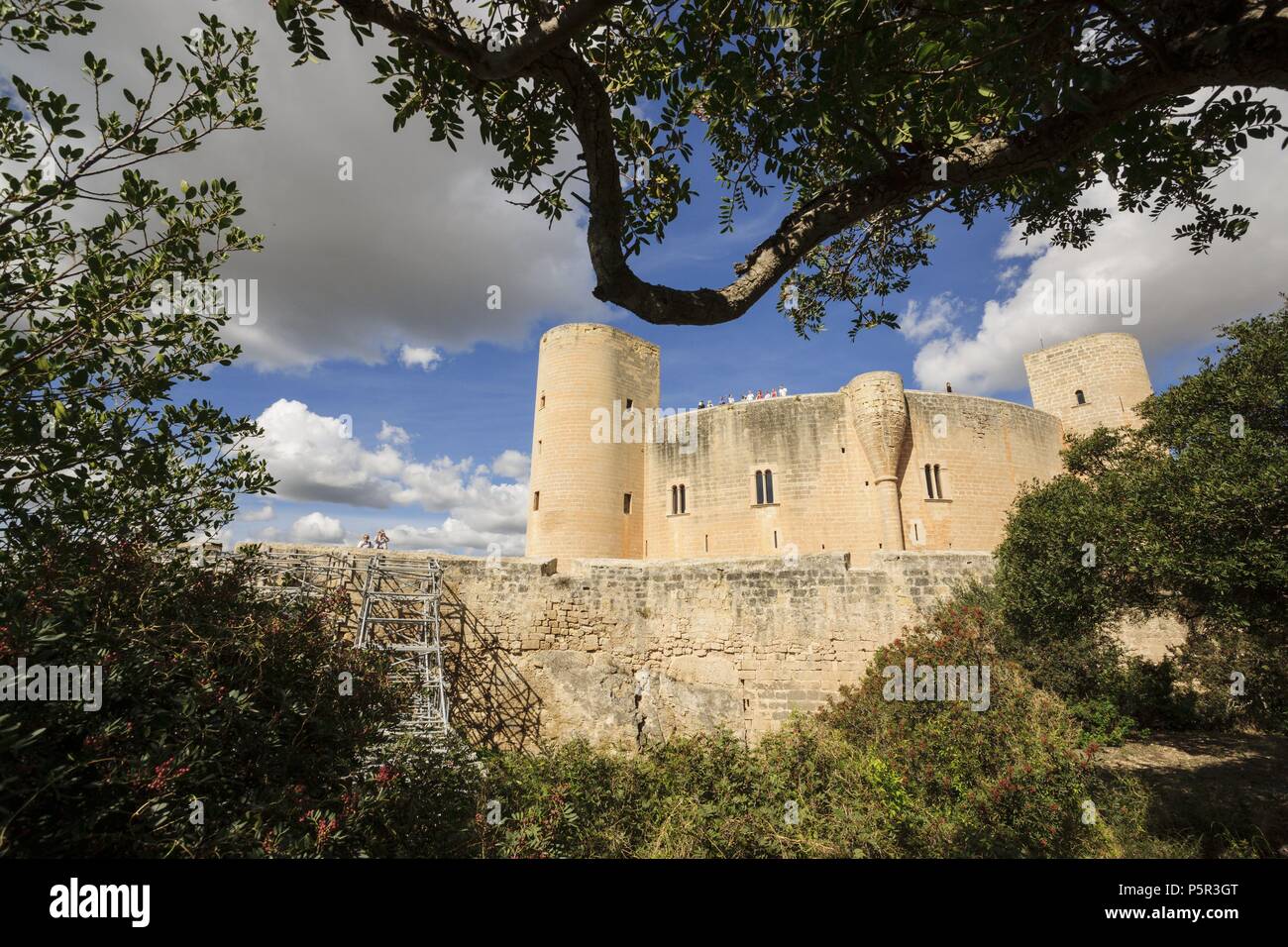 Castillo de Bellver -siglo.XIV-, Palma de Mallorca. Mallorca. Islas Baleares. España. Foto Stock