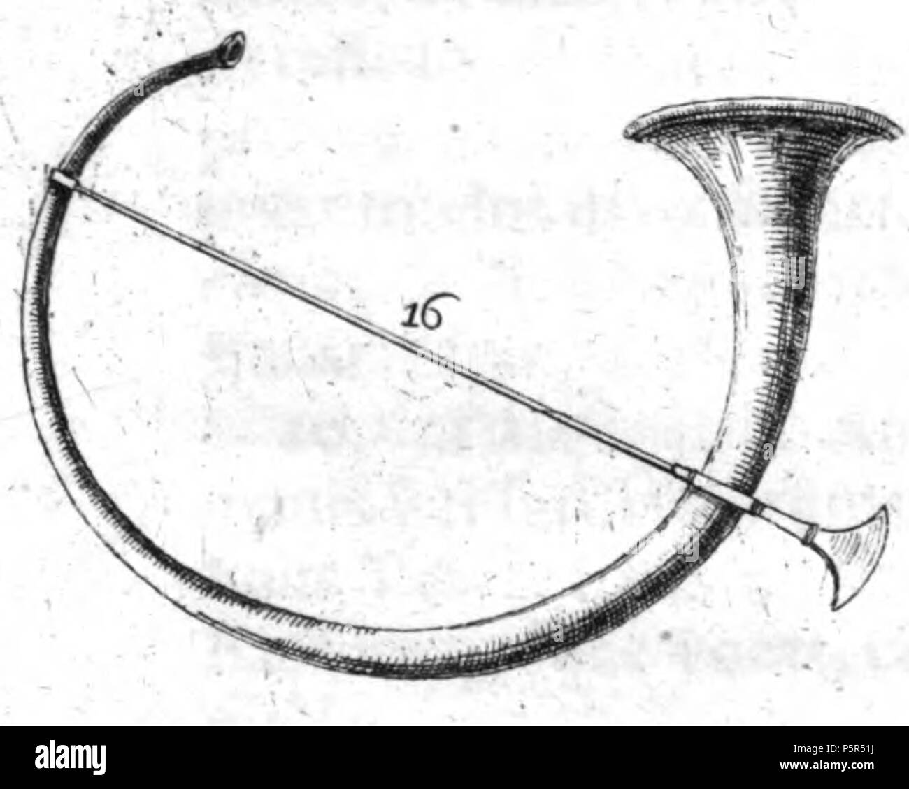 209 Blanchinus De tribus generibus tab II fig 16 Foto Stock