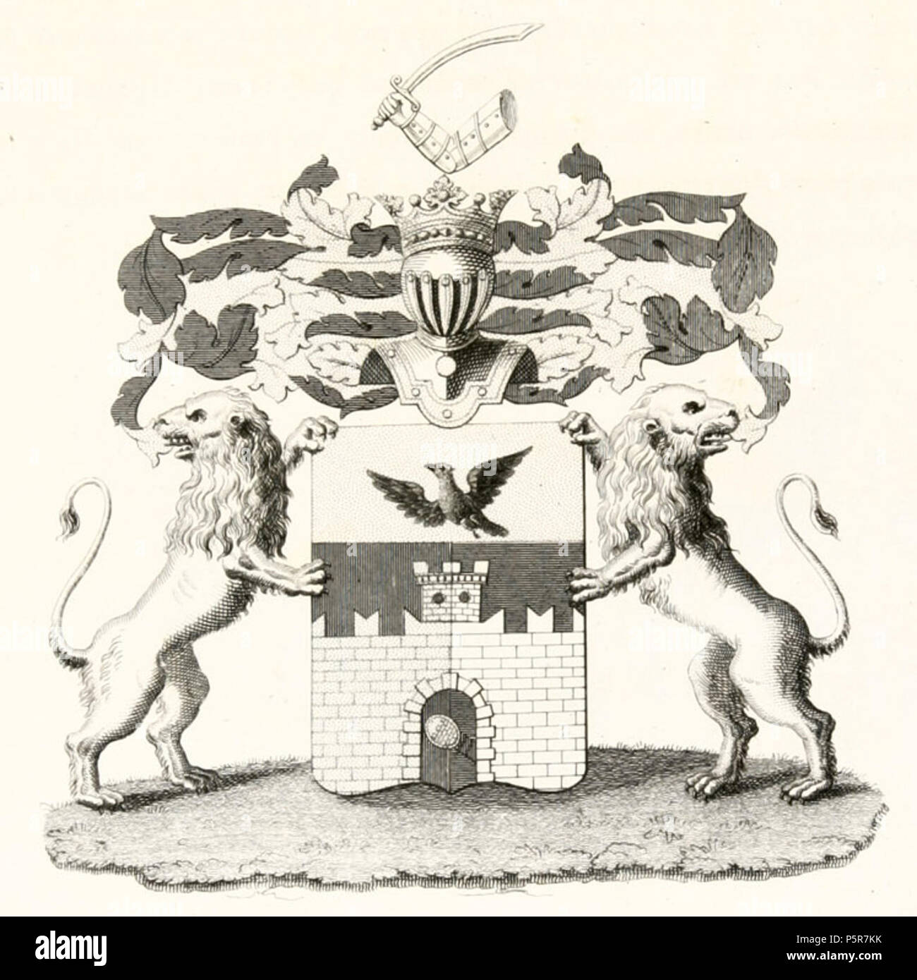 N/A. : Inglese: COA Bornovolokov . 1 gennaio 1798. Sconosciuto 224 RU COA Bornovolokov VIII-47 Foto Stock