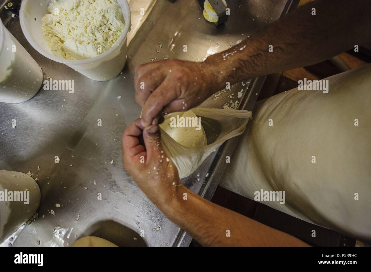 Fatto tutto artigianelmente fabricacion de queso Binigarba - denominacion de origen Mahon artesano- finca Binigarba, Ciutadella, Menorca, Islas Baleares, España, Europa. Foto Stock