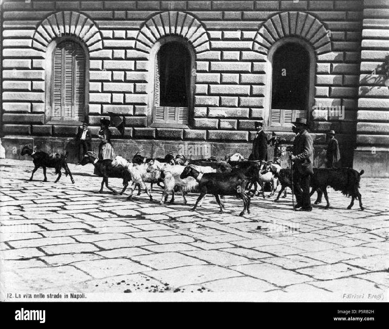 N/A. Il fotografo italiano N/A 239 Brogi, Giacomo (1822-1881) - n. 12 - La vita nelle strade di Napoli Foto Stock