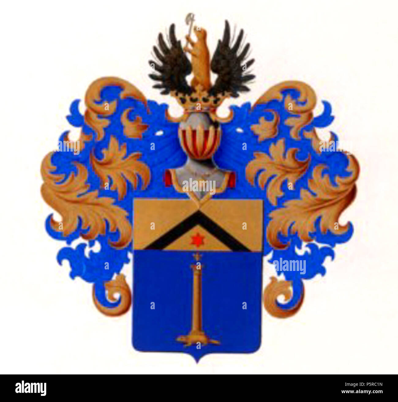 243 RU COA Brullov XI, 130 Foto Stock