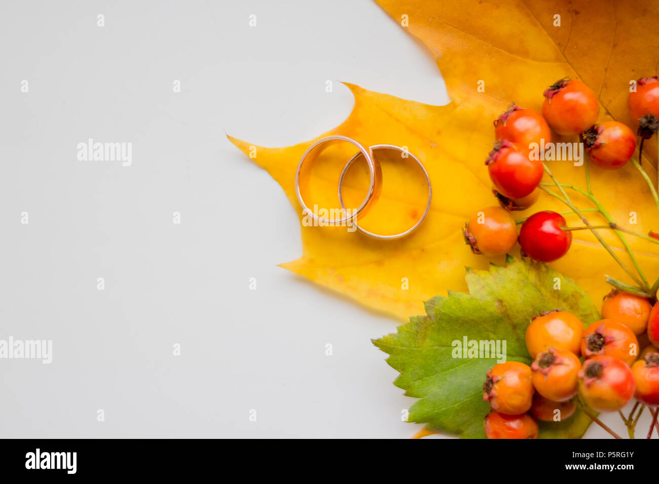 Stagionale creativo autunno sfondo. Primo piano di foglie di acero, golden gli anelli di nozze e Rowan bacche.Invito scheda con copia spazio. Autunno invito a nozze. Vista superiore, laici piatta Foto Stock