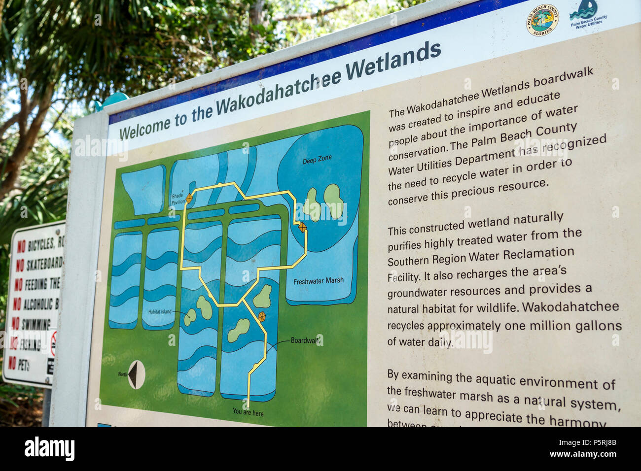 Delray Beach Florida, Wakodahatchee Wetlands, riserva naturale della fauna selvatica, parco, passeggiata sul lungomare, sentiero, habitat protetto degli uccelli, progetto di bonifica dell'acqua, interprete Foto Stock