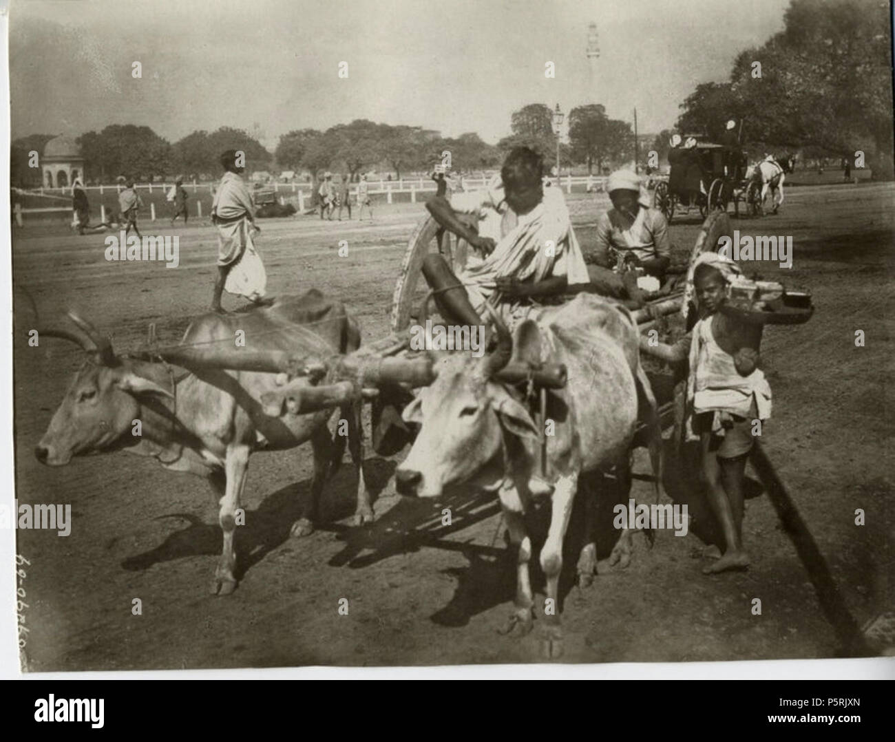 N/A. Inglese: carrello di giovenco andando attraverso il Maidan a Calcutta. Il monumento Ochterlony è visibile in background. circa 1900s. Sconosciuto 249 carrello di giovenco andando attraverso il Maidan a Calcutta (c. 1900s) Foto Stock