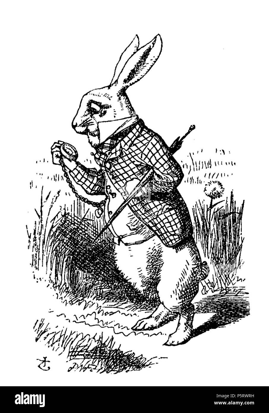 N/A. Di Alice Abenteuer im Wunderland Übersetzer: Antonie Zimmermann Titolo originale: Alice nel Paese delle Meraviglie Illustrationen: John Tenniel . 1869. Lewis Carroll (1832-1898) nomi alternativi Charles Lutwidge Dodgson Descrizione British-English scrittore, matematico e fotografo Data di nascita e morte 27 Gennaio 1832 14 gennaio 1898 Luogo di nascita e morte Daresbury, Cheshire, Inghilterra Guildford, Surrey, Inghilterra periodo di lavoro 1854 al 1898 sede di lavoro Inghilterra competente controllo : Q38082 VIAF:66462036 ISNI:0000 0001 2137 136X ULAN:500027372 LCCN:N79056546 NLA:35039311 WorldCa Foto Stock