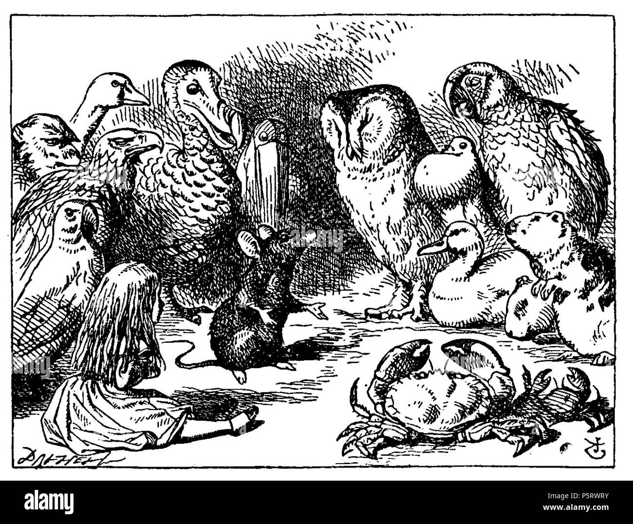 N/A. Di Alice Abenteuer im Wunderland Übersetzer: Antonie Zimmermann Titolo originale: Alice nel Paese delle Meraviglie Illustrationen: John Tenniel . 1869. Lewis Carroll (1832-1898) nomi alternativi Charles Lutwidge Dodgson Descrizione British-English scrittore, matematico e fotografo Data di nascita e morte 27 Gennaio 1832 14 gennaio 1898 Luogo di nascita e morte Daresbury, Cheshire, Inghilterra Guildford, Surrey, Inghilterra periodo di lavoro 1854 al 1898 sede di lavoro Inghilterra competente controllo : Q38082 VIAF:66462036 ISNI:0000 0001 2137 136X ULAN:500027372 LCCN:N79056546 NLA:35039311 WorldCa Foto Stock
