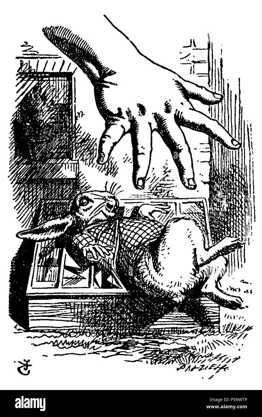 N/A. Di Alice Abenteuer im Wunderland Übersetzer: Antonie Zimmermann Titolo originale: Alice nel Paese delle Meraviglie Illustrationen: John Tenniel . 1869. Lewis Carroll (1832-1898) nomi alternativi Charles Lutwidge Dodgson Descrizione British-English scrittore, matematico e fotografo Data di nascita e morte 27 Gennaio 1832 14 gennaio 1898 Luogo di nascita e morte Daresbury, Cheshire, Inghilterra Guildford, Surrey, Inghilterra periodo di lavoro 1854 al 1898 sede di lavoro Inghilterra competente controllo : Q38082 VIAF:66462036 ISNI:0000 0001 2137 136X ULAN:500027372 LCCN:N79056546 NLA:35039311 WorldCa Foto Stock