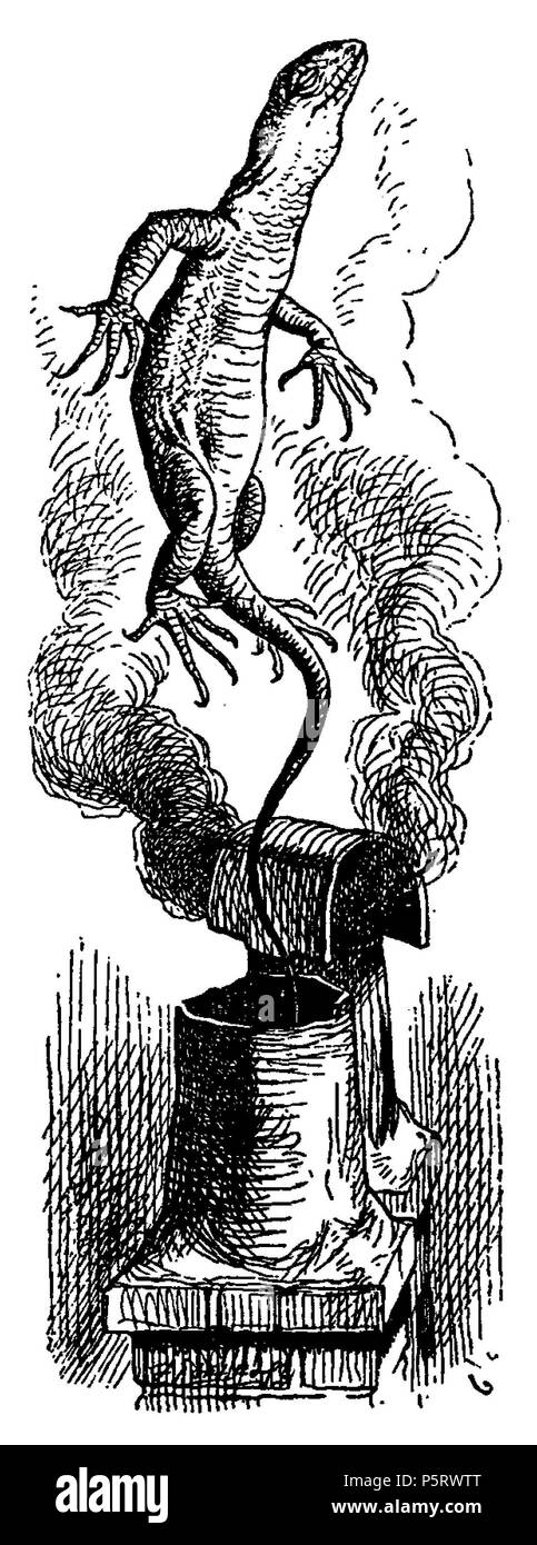 N/A. Di Alice Abenteuer im Wunderland Übersetzer: Antonie Zimmermann Titolo originale: Alice nel Paese delle Meraviglie Illustrationen: John Tenniel . 1869. Lewis Carroll (1832-1898) nomi alternativi Charles Lutwidge Dodgson Descrizione British-English scrittore, matematico e fotografo Data di nascita e morte 27 Gennaio 1832 14 gennaio 1898 Luogo di nascita e morte Daresbury, Cheshire, Inghilterra Guildford, Surrey, Inghilterra periodo di lavoro 1854 al 1898 sede di lavoro Inghilterra competente controllo : Q38082 VIAF:66462036 ISNI:0000 0001 2137 136X ULAN:500027372 LCCN:N79056546 NLA:35039311 WorldCa Foto Stock