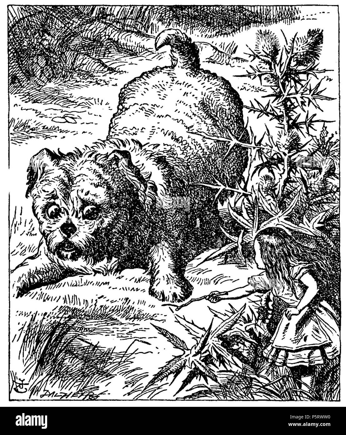 N/A. Di Alice Abenteuer im Wunderland Übersetzer: Antonie Zimmermann Titolo originale: Alice nel Paese delle Meraviglie Illustrationen: John Tenniel . 1869. Lewis Carroll (1832-1898) nomi alternativi Charles Lutwidge Dodgson Descrizione British-English scrittore, matematico e fotografo Data di nascita e morte 27 Gennaio 1832 14 gennaio 1898 Luogo di nascita e morte Daresbury, Cheshire, Inghilterra Guildford, Surrey, Inghilterra periodo di lavoro 1854 al 1898 sede di lavoro Inghilterra competente controllo : Q38082 VIAF:66462036 ISNI:0000 0001 2137 136X ULAN:500027372 LCCN:N79056546 NLA:35039311 WorldCa Foto Stock