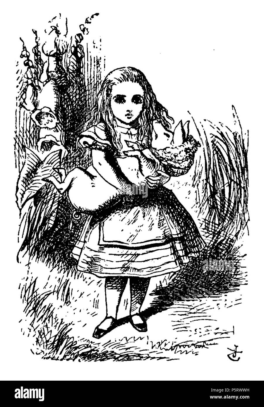 N/A. Di Alice Abenteuer im Wunderland Übersetzer: Antonie Zimmermann Titolo originale: Alice nel Paese delle Meraviglie Illustrationen: John Tenniel . 1869. Lewis Carroll (1832-1898) nomi alternativi Charles Lutwidge Dodgson Descrizione British-English scrittore, matematico e fotografo Data di nascita e morte 27 Gennaio 1832 14 gennaio 1898 Luogo di nascita e morte Daresbury, Cheshire, Inghilterra Guildford, Surrey, Inghilterra periodo di lavoro 1854 al 1898 sede di lavoro Inghilterra competente controllo : Q38082 VIAF:66462036 ISNI:0000 0001 2137 136X ULAN:500027372 LCCN:N79056546 NLA:35039311 WorldCa Foto Stock