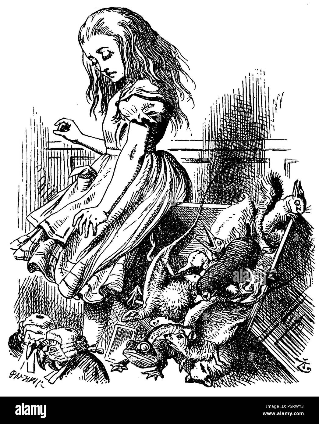 N/A. Di Alice Abenteuer im Wunderland Übersetzer: Antonie Zimmermann Titolo originale: Alice nel Paese delle Meraviglie Illustrationen: John Tenniel . 1869. Lewis Carroll (1832-1898) nomi alternativi Charles Lutwidge Dodgson Descrizione British-English scrittore, matematico e fotografo Data di nascita e morte 27 Gennaio 1832 14 gennaio 1898 Luogo di nascita e morte Daresbury, Cheshire, Inghilterra Guildford, Surrey, Inghilterra periodo di lavoro 1854 al 1898 sede di lavoro Inghilterra competente controllo : Q38082 VIAF:66462036 ISNI:0000 0001 2137 136X ULAN:500027372 LCCN:N79056546 NLA:35039311 WorldCa Foto Stock